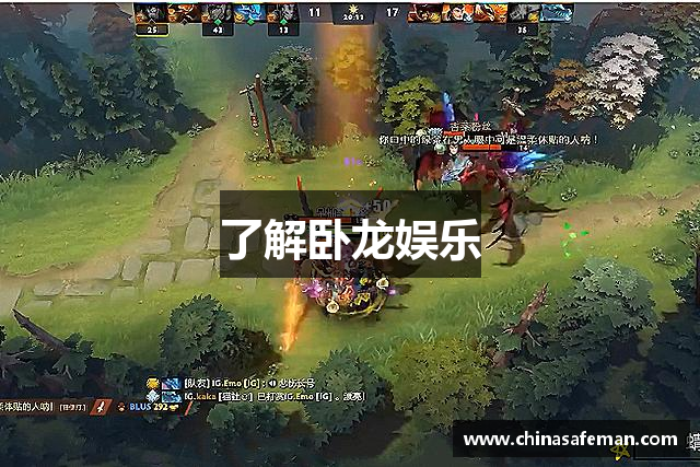 了解卧龙娱乐